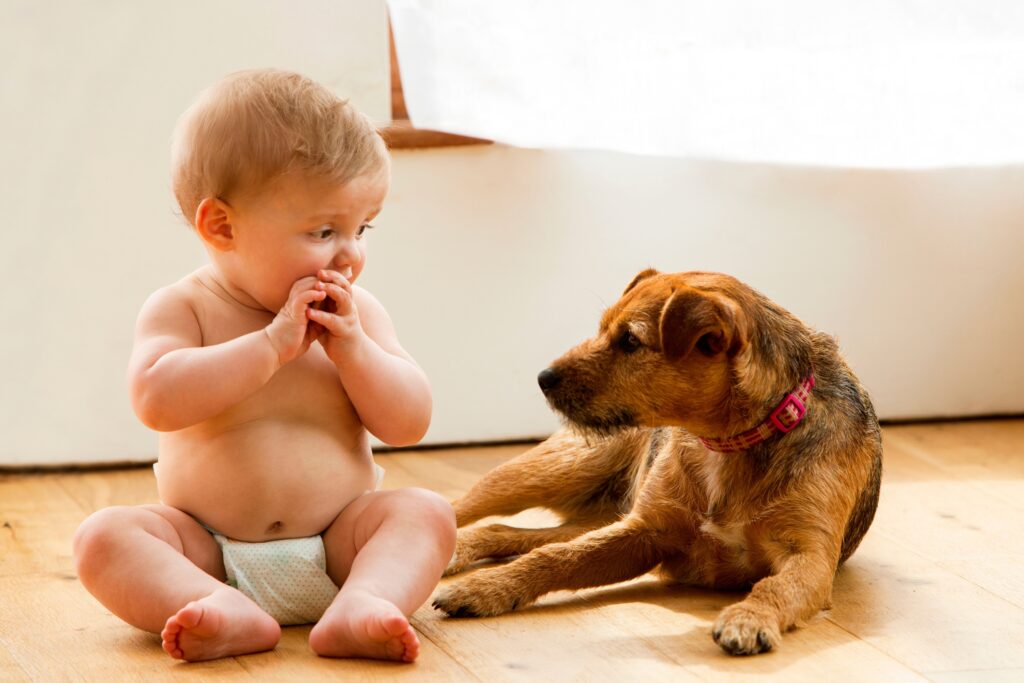 Raising Babies Alongside Pets_ Benefits, Risks, and Safe Ways for Children and Animals to Share Spaces